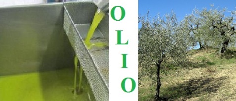Una TAC per smascherare l'olio extravergine di oliva contraffatto